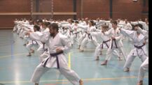 Starker Jahresabschluss im Karate Dojo Kyotokan – Neue Anfängerkurse ab Januar