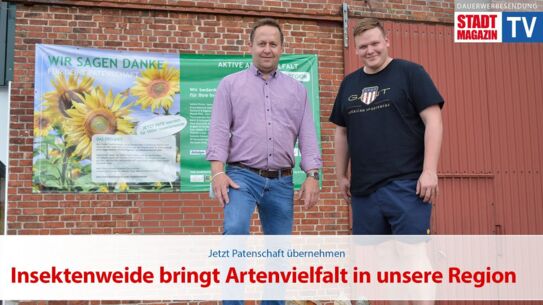 Patenschaft übernehmen: Insektenweide bringt Artenvielfalt in unsere Region