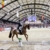 40 Jahre FEI Dressage World Cup™ in Neumünster: Wo Sportgeschichte geschrieben wird