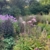 Premiere für den Herbst: Aktion Offener Garten lädt nochmals zum Gartenbesuch ein