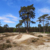 Tages-Radtour mit dem ADFC zu den Holmer Sandbergen