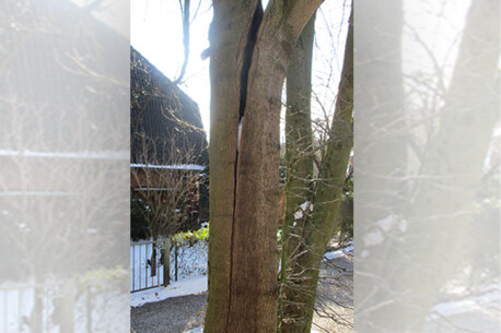 Appell zur Mitwirkung bei der Gefahrenabwehr