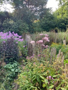 Premiere für den Herbst: Aktion Offener Garten lädt nochmals zum Gartenbesuch ein