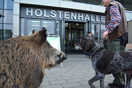 Die „OUTDOOR 2019 jagd & natur“ startet heute!
