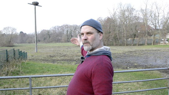 "Es wurde nicht richtig hingeguckt oder absichtlich weggeguckt!"