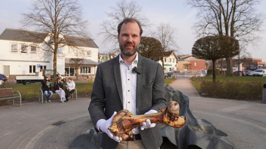 Sensationsfund in Kaltenkirchen - Knochen bei Bauarbeiten entdeckt