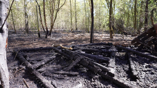 So schwer hat das Feuer den Wildpark Eekholt getroffen