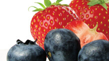 Frische Früchtchen für EDEKA Grümmi Kunden