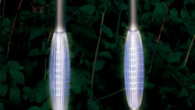 Ein Garten voller Lichter