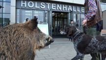 Die „OUTDOOR 2019 jagd & natur“ startet heute!