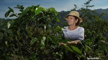 Kaltenkirchen ist weiterhin Fairtrade-Stadt