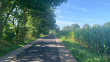 Sanierung Waldweg und „Waldbrücke“