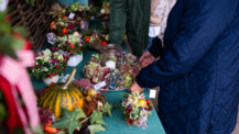 Veranstaltungen und Ausflüge in den Herbstferien im Kreis Segeberg