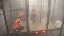 Jugendfeuerwehren entdecken die Welt des ABC-Zugs