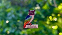 Neue Eulen-Pins in Regenbogenfarben ab sofort erhältlich