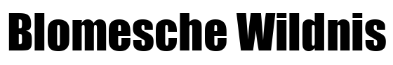 Stadtmagazin